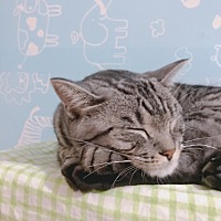 20号排卵日，🈶️报喜🉐️的吗？