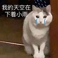 到底怎么才能怀孕啊 排卵试纸准不准啊 还没买 我觉得这个上面的排卵日不准啊
