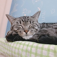 备孕第一个月生化，8月份姨妈准时到来，下个月继续，一切都是最好的安排💗