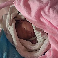 朋友周围都说是儿子。只有我感觉就是女儿