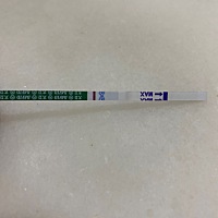 干了印也保持着 会看得更清楚一丢丢