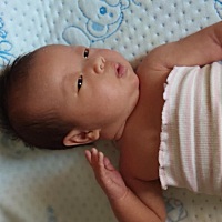 我家宝宝出生5.3 5.1现在都十斤左右，喝的飞鹤星飞帆。母乳没有，吃饭没有营养，我婆婆做菜简直跟斋菜一...