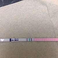 昨天用了金秀儿和大卫的排卵试纸测试，金秀儿淘宝客服说是阳性，等强阳，不要同房。请问需要同房吗？