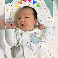 怀你时累成狗，生你时要我半条命，现在照顾你又累成狗