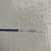 分别8.4号和8.6号同的房，两个软件推算的排卵期一个是8号一个是9号，我也不知道这是有还是没有？感觉有...