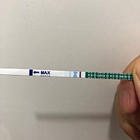 大卫的在排卵10天后竟然测出来了，准不准，都说月经超了7天之后才能确定