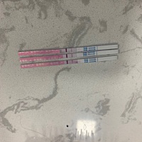 这是怀上了吗？