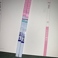 4号b超测卵子2.2✖️2.0公分，5号测排卵了。2.3.4.5都有同房。昨天第七天测的，帮忙看下是不是怀孕
