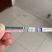 请问这是怀孕了吗