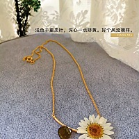 上次月经7.12来的，目前推迟两天，这两天肚子特别容易饿，昨天中午两碗银耳汤一碗饭，不到一小时就饿了...