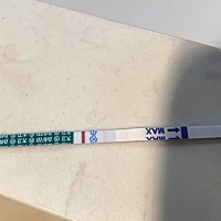 用了测排卵试纸检测排卵期同房后十来天，刚刚测了不知道是不是有了，有点小激动，希望孕妈们能帮忙看看...