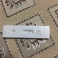 快帮我看看吧，第十五天排卵，这是不是有了？