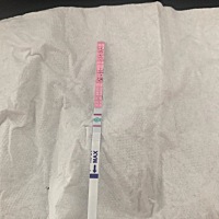 这现在是属于排卵期吗？