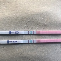 这是刚刚测的 看不懂了