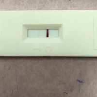 亲们，4号和6号同房，8.11号试纸测了一下，第二条线若有若无，今天忍不住又测了一下，这是不是表示有概...