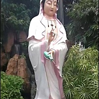 愿我11月顺利怀孕，宝贝健康发育到出生，平安幸福过一生