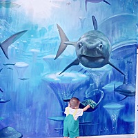 宝宝一岁半了快. 想着断母乳. 看了好多孩子轻轻松松原来以为我的孩子也可以再让我付出辛苦的情况下断掉....