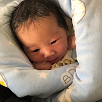 我又回来了 这是刚生出几天的 3个多🈷️的 四个月的