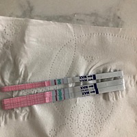 宝妈们 我这是排卵吗