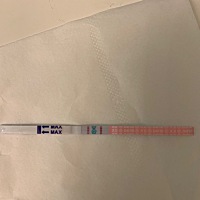 请问大家这是要排卵了吗？可以安排同房？
