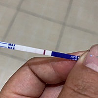 激动的心 颤抖的手。我没有眼花吗？这是真的吗？