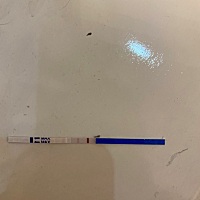 这样是不是怀孕了呀