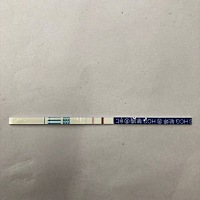 同房后第七天到现在测了3次，第二条线的颜色一次比一次深，心情也很激动。🙏愿一路绿灯平安顺利健康地...
