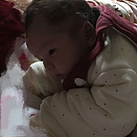 一路走来，喜怒哀乐全都经历了那种。。。哈哈哈 两个月 三个月 一岁九个月