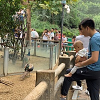 周末，公婆放假回老家，我和老公带娃去了动物园，逛了快三个小时，腿已不是我的腿，那个累呀