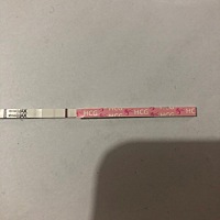 是怀孕了吗