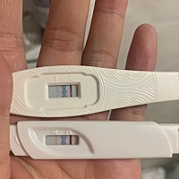 昨天测的两条有点淡，今天又测了一遍，深一点了。是不是要去医院查血了。