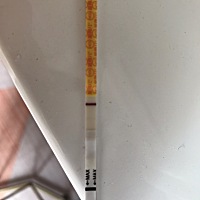 14号排卵期，早上起床测的，当时白板，过了半小时去看还是白板，以为没戏了，中午吃完饭回来就隐隐约约...