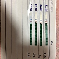 7月28日来大姨妈，8月13日有透明状白带流出，我觉得是排卵了，就拉着老公安排了，等不到姨妈日就开始测...