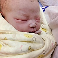 赵雨茉，八月三十12:30出生，七斤六两，剖妇产，整天过程生不如死，麻醉没尽就开了，疼得直叫，医生说让...