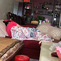 我女儿戒奶，因为频繁夜醒还要奶睡，几乎一个小时醒一次，我是那种睡眠不好的人，睡着都要酝酿半个钟，...