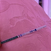 半个月没有试出来，前天排卵期同房了，今天感觉小腹坠坠的疼😣就像来大姨妈的感觉，但是正常来大姨妈...