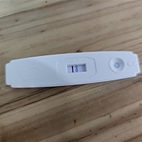 这是有了还是没有啊？看不懂