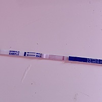 难道是牛宝宝来找我了？