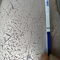 宝妈们，，帮忙看看有没有，我眼睛都要看花了，备孕二胎半年多，，希望这个月如愿