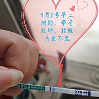 排卵日8月21日，前后都有安排功课，应该不会炸胡了吧
