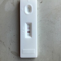 备孕了半年多，8月亲戚一走就开始无措施，连续两天阳性，应该是中奖了吧。准备今天去医院采血检查。 202...