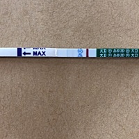今天早上测的  是不是 两道杠啊 我都 看花了 老是盯着看  看糊涂了