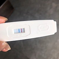 亲们赶紧看下