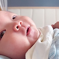 照片是从最近的日期往前放的，不知不觉，香菇已经百日啦，体重也到了6.7公斤，也就是13.4斤了，和出生时...