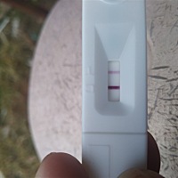 上个月8号的月经，今天9号，平时也不规律，这是超过一天测出来的😗