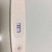 大卫的早孕检测