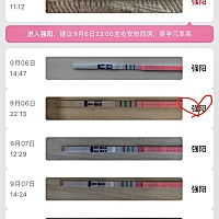请姐妹看看我是7号晚上排卵还是8号，今天9号还需要安排吗