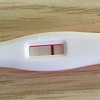 上月8号来月经，测了排卵同房，这两天月经没反应，请帮忙看下 中午买了验孕棒重新测了下，也是若隐若现...