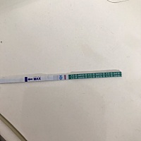 看看有没有