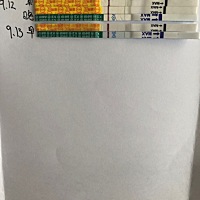 粉色的是排卵试纸。一直秒红。